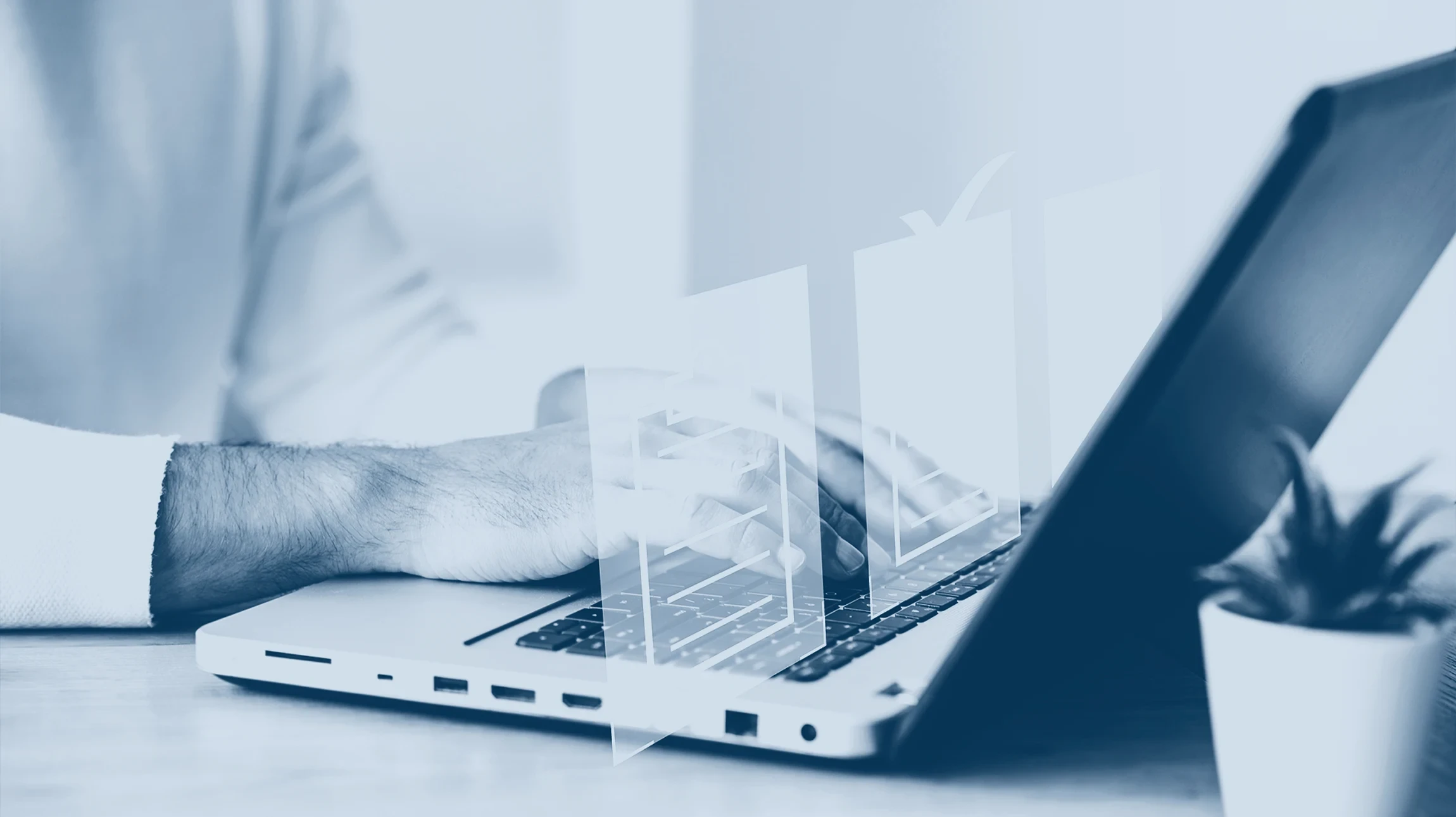 Homme travaillant sur ordinateur portable dans un bureau moderne avec plante verte en arrière-plan